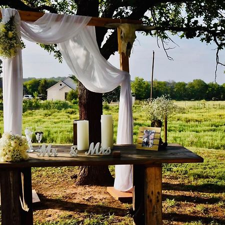 Beautiful Farmhouse W/ Pool On 6 Acres Ranch Aubrey Экстерьер фото